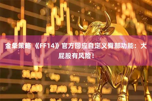 金夆策略 《FF14》官方回应自定义臀部功能：大屁股有风险！