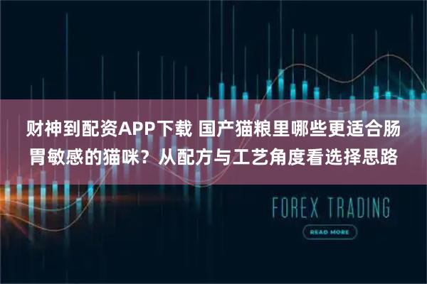 财神到配资APP下载 国产猫粮里哪些更适合肠胃敏感的猫咪？从配方与工艺角度看选择思路