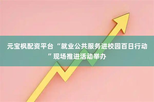 元宝枫配资平台 “就业公共服务进校园百日行动”现场推进活动举办
